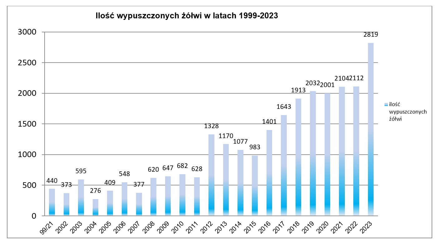 ilość wypuszczonych żółwi w latach 1999 2023